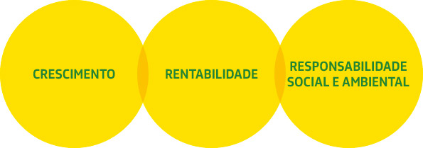 Focos de Desempenho